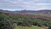 Malavieille_25_12-28