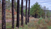 Malavieille_25_12-35