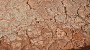 Malavieille_25_12-48