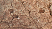 Malavieille_25_12-49