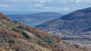 Malavieille_25_12-81