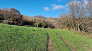 Malavieille_25_12-83