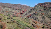 Malavieille_25_12-84