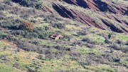 Malavieille_25_12-88