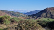 Malavieille_25_12-94