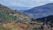 Malavieille_25_12-95