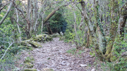 Vezoles_26_04-113
