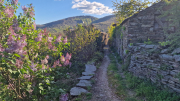Vezoles_26_04-118