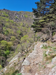Vezoles_26_04-19