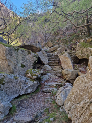Vezoles_26_04-25