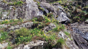 Vezoles_26_04-40
