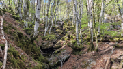 Vezoles_26_04-92