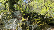 Vezoles_26_04-94