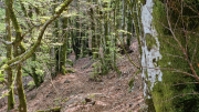 Vezoles_26_04-95