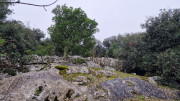 Brissac_25_02-112