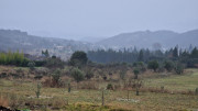 Brissac_25_02-130
