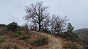 Brissac_25_02-158