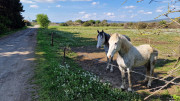 Salines_25_03-10