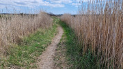 Salines_25_03-110