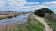 Salines_25_03-113