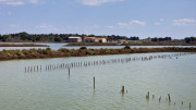 Salines_25_03-125