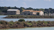 Salines_25_03-126