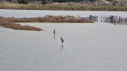 Salines_25_03-128