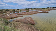 Salines_25_03-129