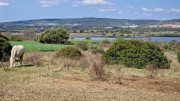 Salines_25_03-13
