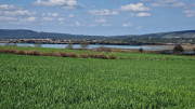Salines_25_03-14
