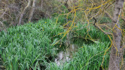 Salines_25_03-145