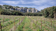 Salines_25_03-153