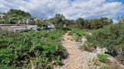 Salines_25_03-158