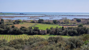 Salines_25_03-160