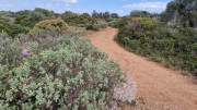 Salines_25_03-173