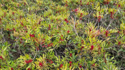 Salines_25_03-176