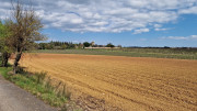 Salines_25_03-183