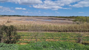 Salines_25_03-186