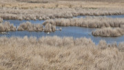 Salines_25_03-187