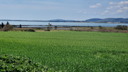 Salines_25_03-19