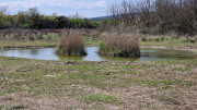 Salines_25_03-191