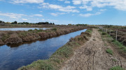 Salines_25_03-197