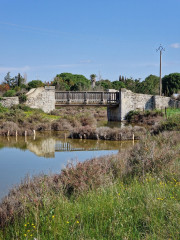 Salines_25_03-2