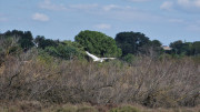 Salines_25_03-200