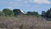 Salines_25_03-201