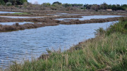 Salines_25_03-203