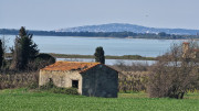 Salines_25_03-23