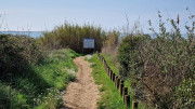 Salines_25_03-25