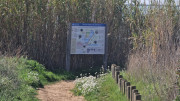 Salines_25_03-26