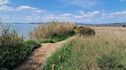 Salines_25_03-28